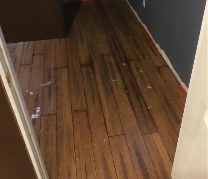 water damaged wood floors needing removal