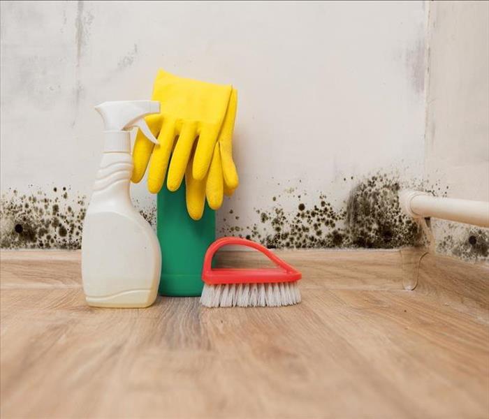 Wall with mold growth, plastic bottle spray, brush,  yellow rubber gloves