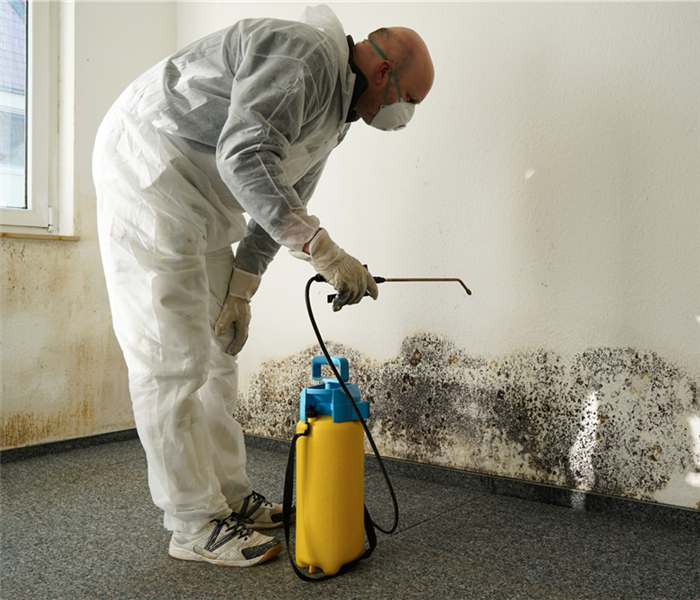 specialist in PPE combating mold in an apartment